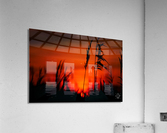Stygian  Acrylic Print