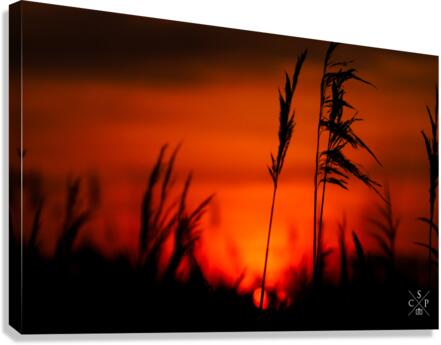 Stygian  Canvas Print