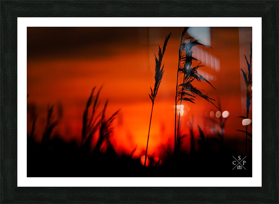 Stygian  Framed Print Print